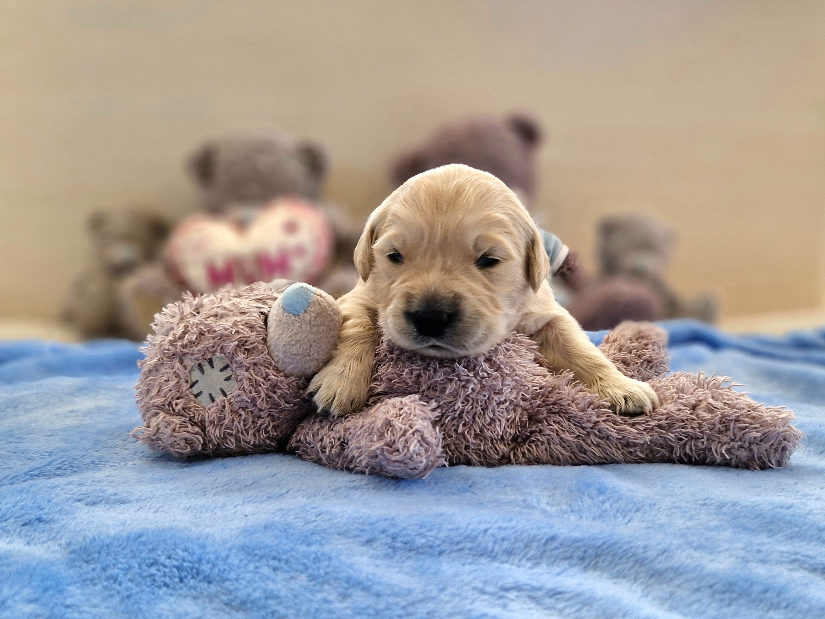 06%20%C4%8Dern%C3%BD%20